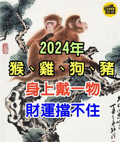 屬雞屬猴|【屬雞屬猴】屬雞屬猴天生一對？揭密屬相愛情、事業、財運大解。